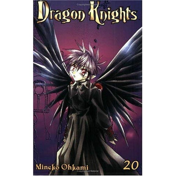 Pre-Owned Dragon Knights Volume 20 (Paperback) 1591829631 9781591829638