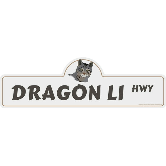 Dragon Li Street Sign | Indoor/Outdoor | Dog Lover Funny Home Décor for Garages, Living Rooms, Bedroom, Offices | SignMission personalized gift | 18" Wide