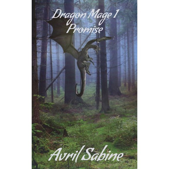 Dragon Mage Promise, Book 1, (Paperback)