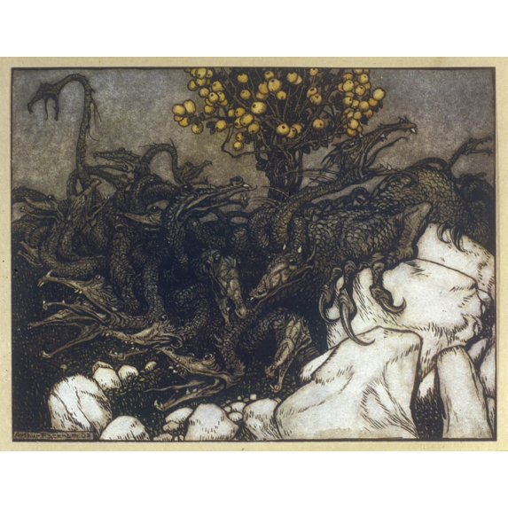 Dragon Of Hesperides Poster Print By Mary Evans Picture Libraryarthur Rackham (24 X 18)