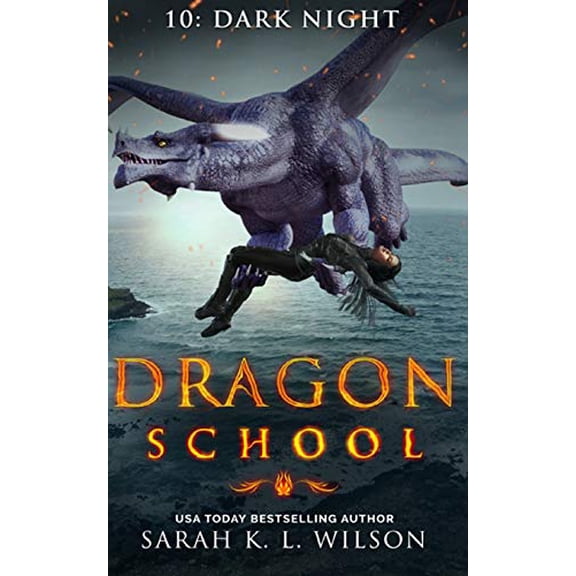 Pre-Owned Dragon School: Dark Night Paperback