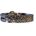 thumbnail image 1 of Dragon Skin Genuine Leather Dog Collar, 1 of 2