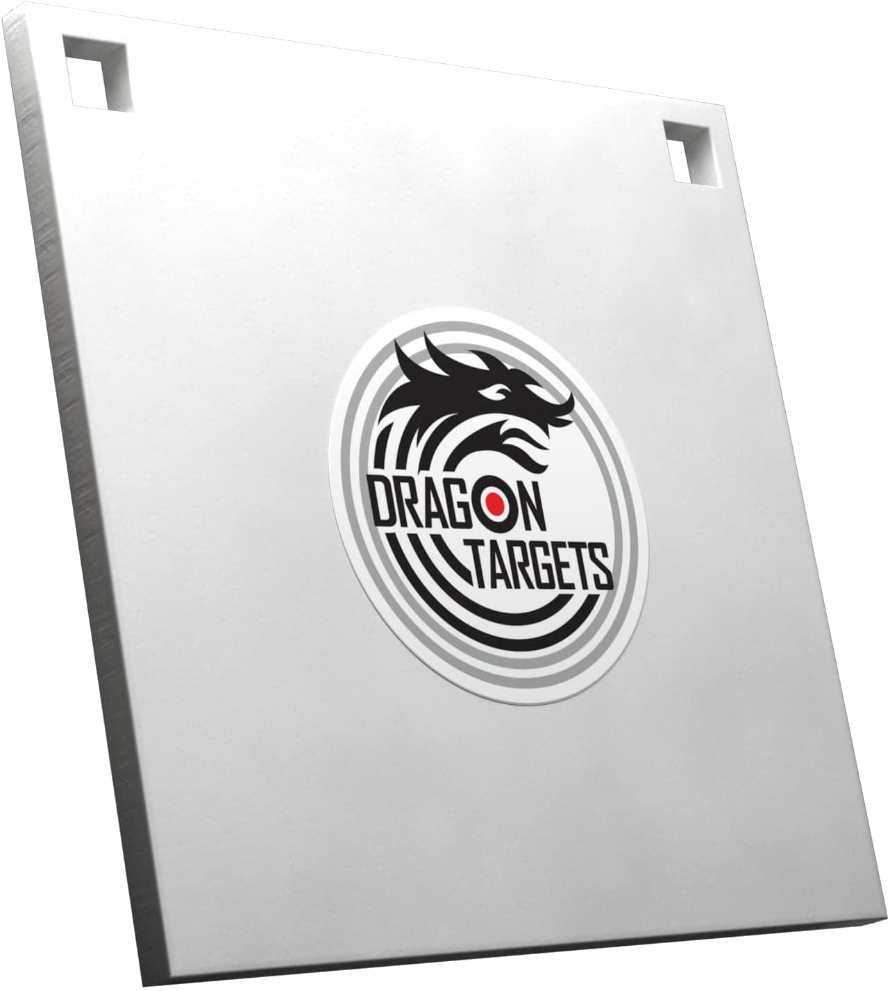 Dragon Targets AR500 Steel Targets for Shooting 3/8 inch Thick Laser Cut, Painted AR500 8" X 8" Square