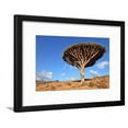 thumbnail image 1 of Dragon Tree  Dracaena Cinnabari  Dragons Blood  Endemic Tree from Soqotra, Yemen, Framed Art Print Wall Art by zanskar Sold by Art.Com, 1 of 6