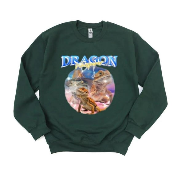 Dragon Whisperer Mythical Creature Fantasy Tamer Friend Sweatshirt, for men & women, up to size 5XL