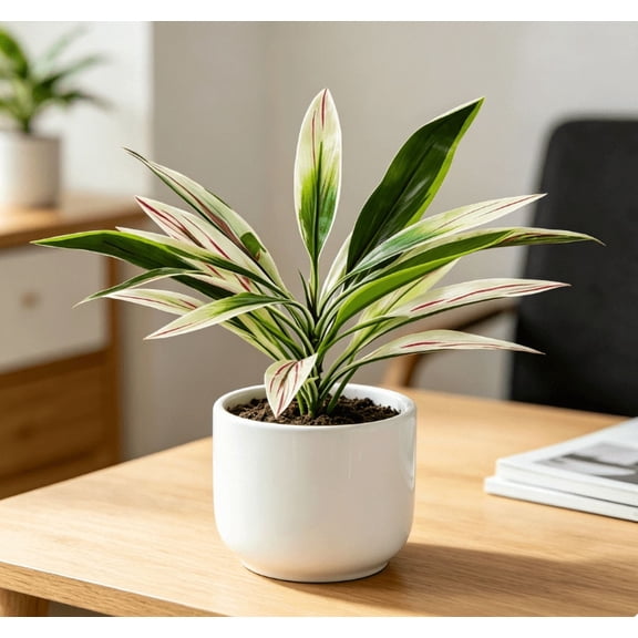 Dragon blood tree artificial plants, simulating planting landscape tropical rainforest theme. Perfect for gardens, weddings, photography, housewarming celebrations, home gifts
