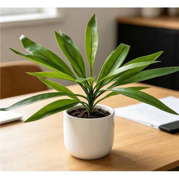 Dragon blood tree artificial plants, simulating planting landscape tropical rainforest theme. Perfect for gardens, weddings, photography, housewarming celebrations, home gifts