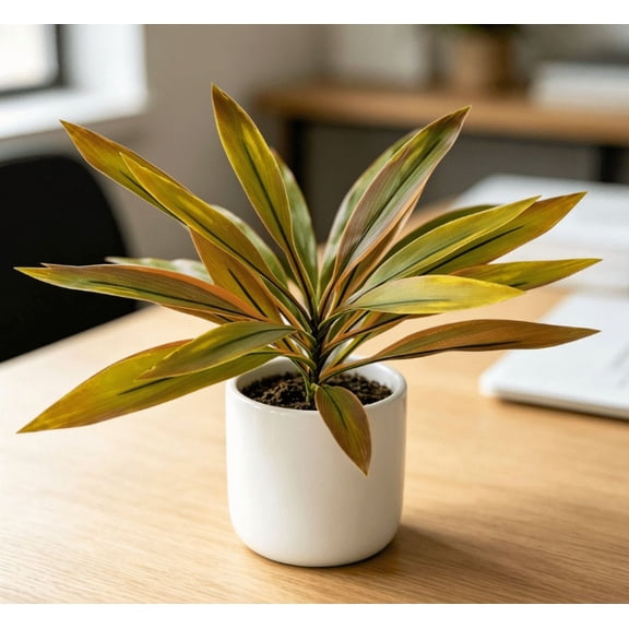 Dragon blood tree artificial plants, simulating planting landscape tropical rainforest theme. Perfect for gardens, weddings, photography, housewarming celebrations, home gifts
