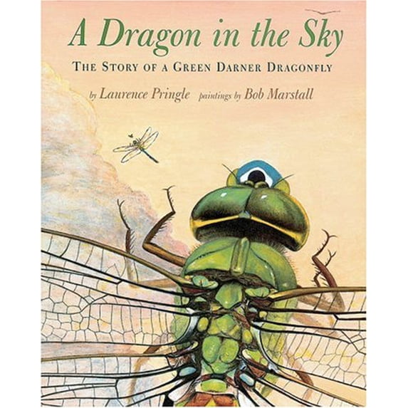 Pre-Owned Dragon In The Sky (Hardcover) 0531303152 9780531303153