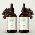 thumbnail image 1 of HerbEra Dragon's Blood Tincture, Herbal Dietary Supplement for Skin and Tissue Support, Dragon's Blood (Croton lechleri) Dried Resin Extract, Natural, Alcohol-Free, Drops 2x4 oz, 1 of 7