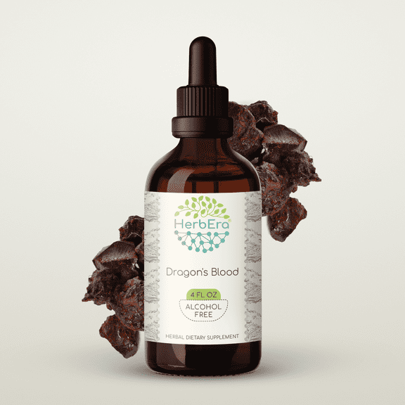 HerbEra Dragon's Blood Tincture, Herbal Dietary Supplement for Skin and Tissue Support, Dragon's Blood (Croton lechleri) Dried Resin Extract, Natural, Alcohol-Free, Drops 4 oz