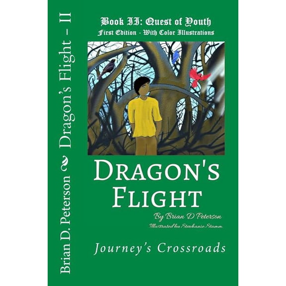 Dragon's Flight Dragon's Flight - II: Quest of Youth - Fully Illustrated in Color, Book 2, (Paperback)