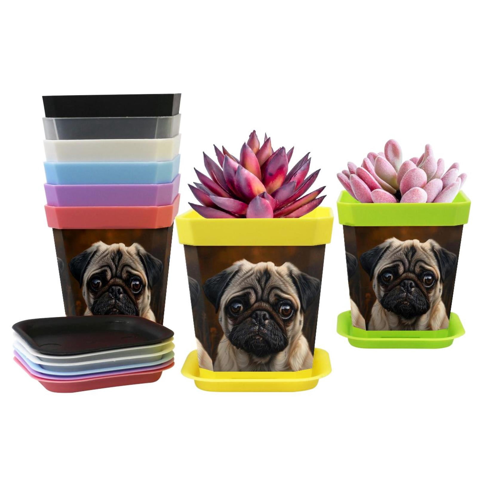 Pug Pot DragonBtu 8 pcs Square Planter with Saucer Funny Pug Dog - Indoor ...