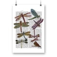 thumbnail image 1 of Dragonflies On Paper Poster - Fab Funky Designs,, 1 of 3