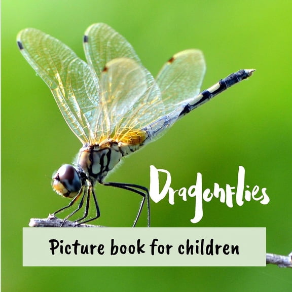 Dragonflies: Picture book for children, (Paperback)