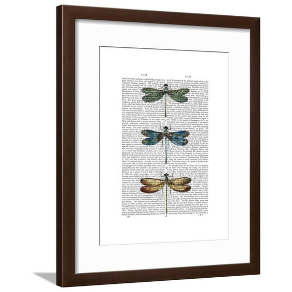 Dragonflies Print 1, Animals Framed Art Print Wall Art by Fab Funky Sold by Art.Com
