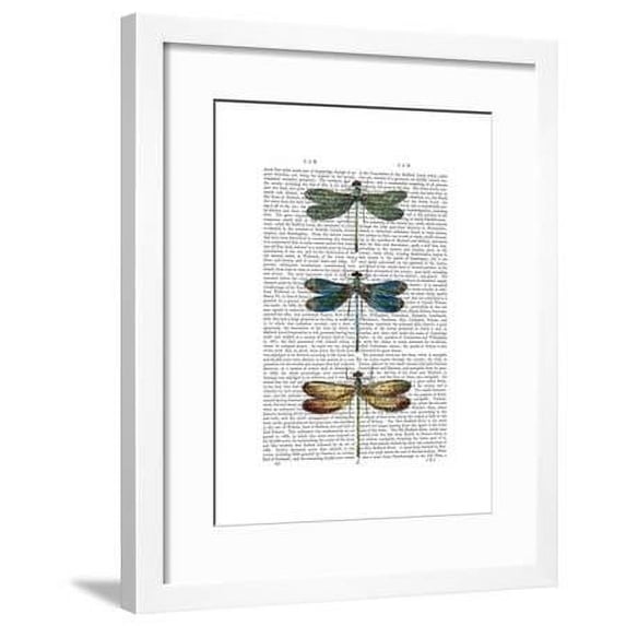 Dragonflies Print 1, Animals Framed Art Print Wall Art by Fab Funky Sold by Art.Com