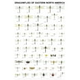 thumbnail image 1 of Dragonflies of Eastern North America, (Hardcover), 1 of 1