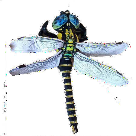 Dragonfly 21.65 Plush Stuffed Animal Insect