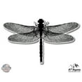 thumbnail image 1 of Dragonfly Beautiful Realistic - 3" Vinyl Sticker - For Car Laptop I-Pad Phone Helmet Hard Hat - Waterproof Decal, 1 of 1