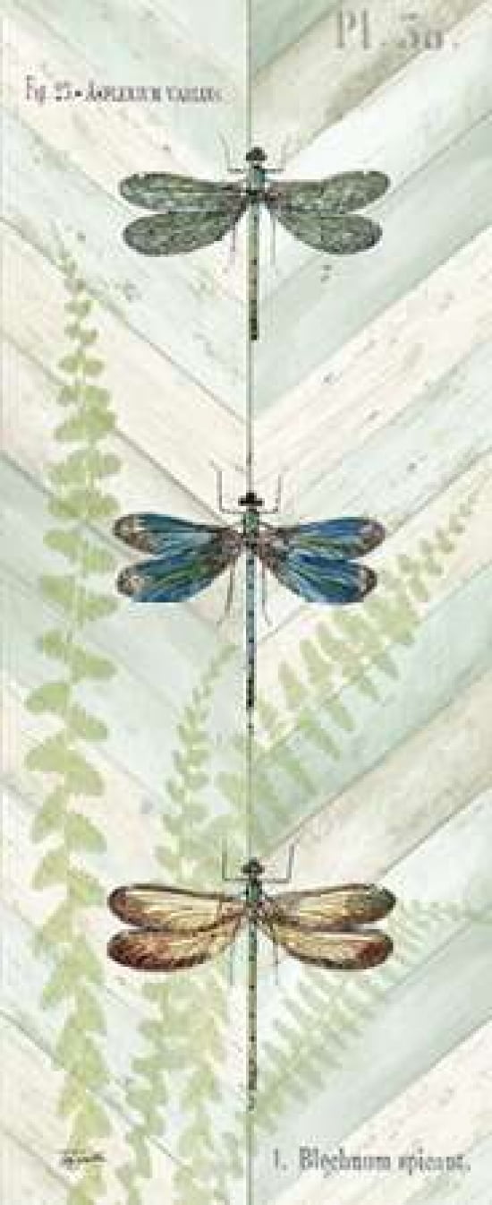 Dragonfly Botanical Panels I Canvas Art - Tre Sorelle Studios (24 x 48)