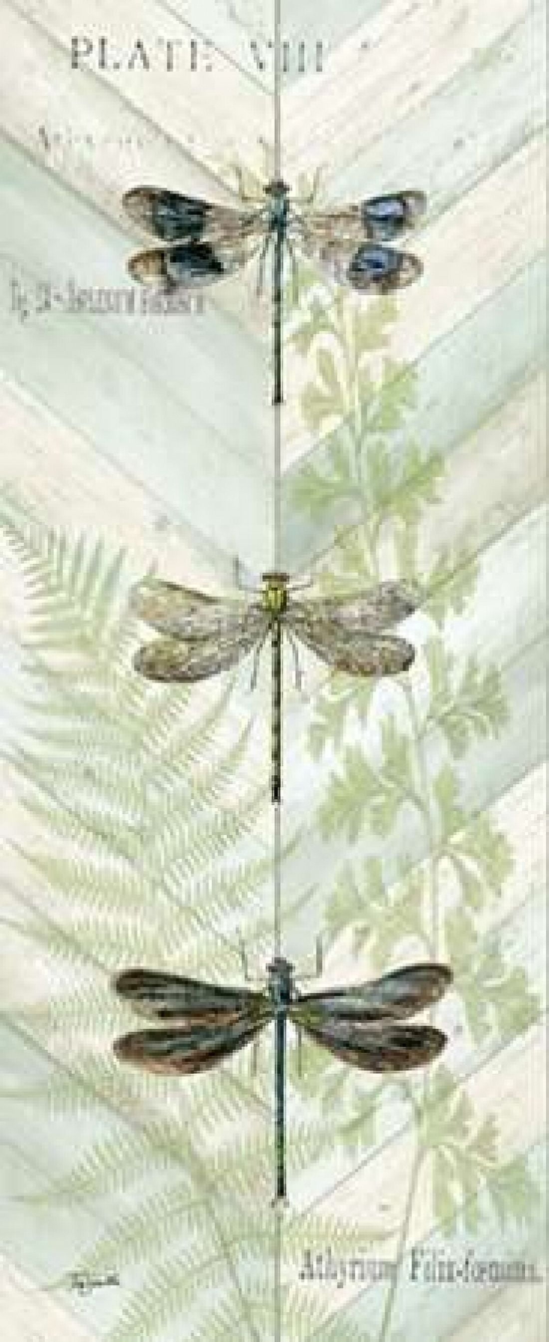 Dragonfly Botanical Panels II Canvas Art - Tre Sorelle Studios (24 x 48)