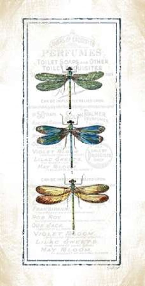 Dragonfly Canvas Art - Jennifer Pugh (10 x 20)