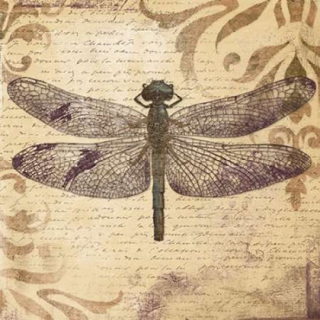 Dragonfly Canvas Art - Patricia Pinto (24 x 24)