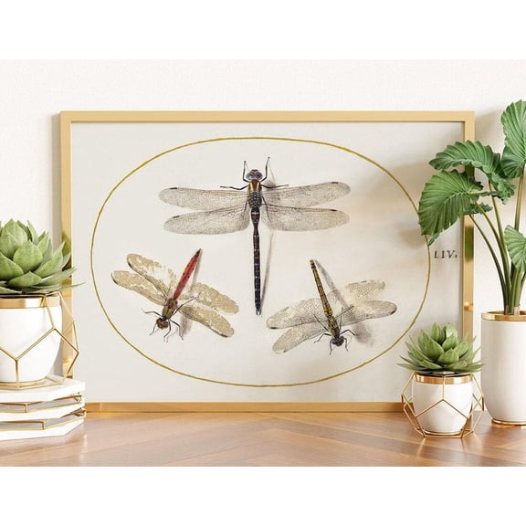 Dragonfly , Dragonfly Wall Art, Dragonfly, Vintage Wall Decor, Vintage Dragonfly , Dragonfly , Bug , Dragonfly Unframed Paper Print