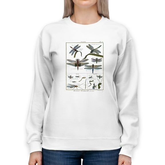 Dragonfly Encyclopedia Sweatshirt Women -Denis Diderot Designs, Female Small