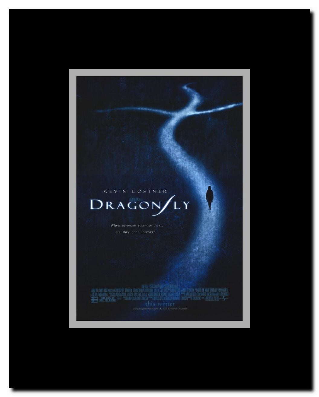 Dragonfly Framed Movie Poster