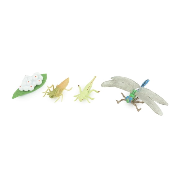 Dragonfly Life Cycle, 4 Piece Set, Hand Painted, Educational, High Quality Rubber Insect, Realistic, Diorama, Figure, Toys, Kids, Gift, 4 Inches. CH981 BB214