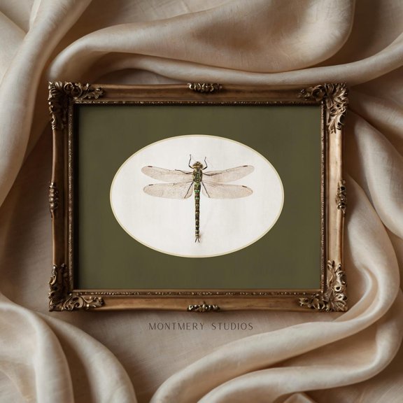 Dragonfly Print Poster, Sage Green Wall Art Poster, Vintage Insect Picture, Boho Wall Print Poster, Unframed Poster Size 12x18 F03.1.19l251