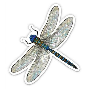 Dragonfly Realistic Pretty Insect - 3" Vinyl Sticker - For Car Laptop I-Pad Phone Helmet Hard Hat - Waterproof Decal