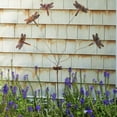 thumbnail image 1 of Dragonfly Whimsy Flutterer, 1 of 1