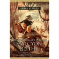thumbnail image 1 of Dragonfrigate Wizard Halcyon Blithe (Hardcover), 1 of 1