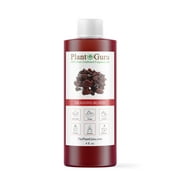 Dragons Blood Fragrance Oil 4 fl. oz. Scented Oil for DIY Soap Making, Candles, Bath Bombs, Body Butters. Used In Aromatherapy Diffusers, Burners and Warmers. Great Addition To Lotions and Creams.