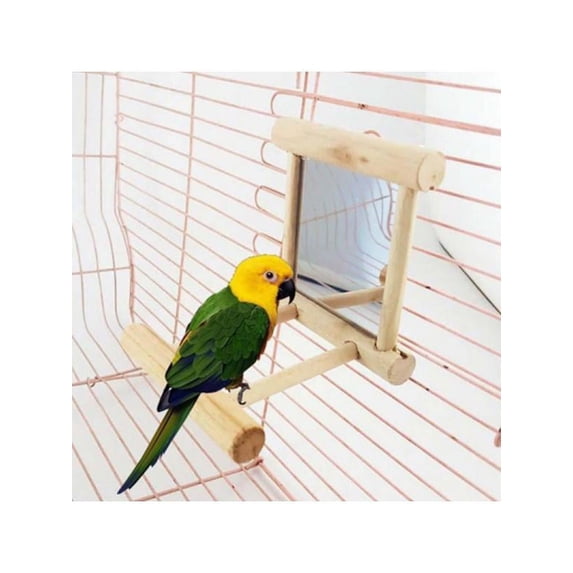Dragonus Wooden Bird Parrots Standing Toy With Bells Pet Birds Mirror Bird Cage Stand Bar
