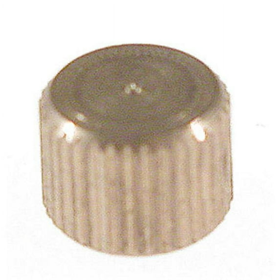 Drain Cap For S & W Valve