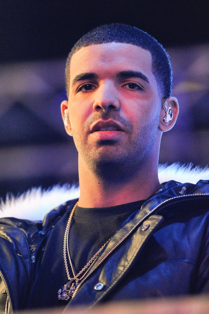 Drake Canvas Art - (16 x 20)