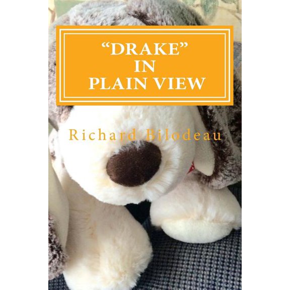 Drake In Plain View (Paperback)
