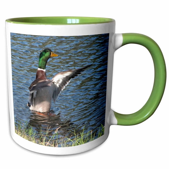 3drose, Drake, Male Mallard Duck, 11oz Two-tone Green Mug