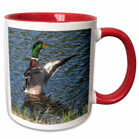 3drose, Drake, Male Mallard Duck, 11oz Two-tone Red Mug