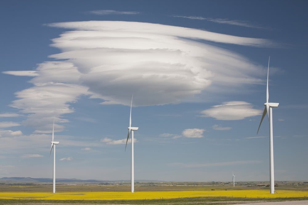 Dramatic Clouds With Blue Sky And Wind Mills In A Flowering Canola Field Alberta Canada Canvas Art - Michael Interisano Design Pics (38 x 24)