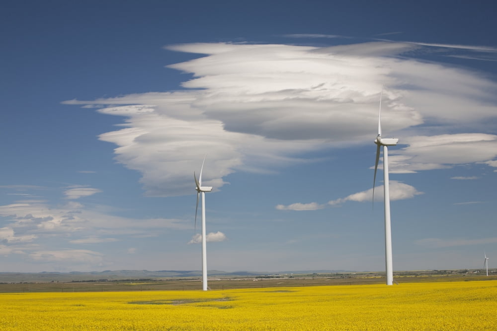 Dramatic Clouds With Blue Sky And Windmills In A Flowering Canola Field Alberta Canada Canvas Art - Michael Interisano Design Pics (38 x 24)
