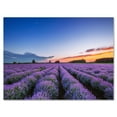 thumbnail image 1 of Dramatic Clouds and Sunrise Over Lavender Field I 32 in x 16 in Photography Canvas Art Print, by Designart, 1 of 4