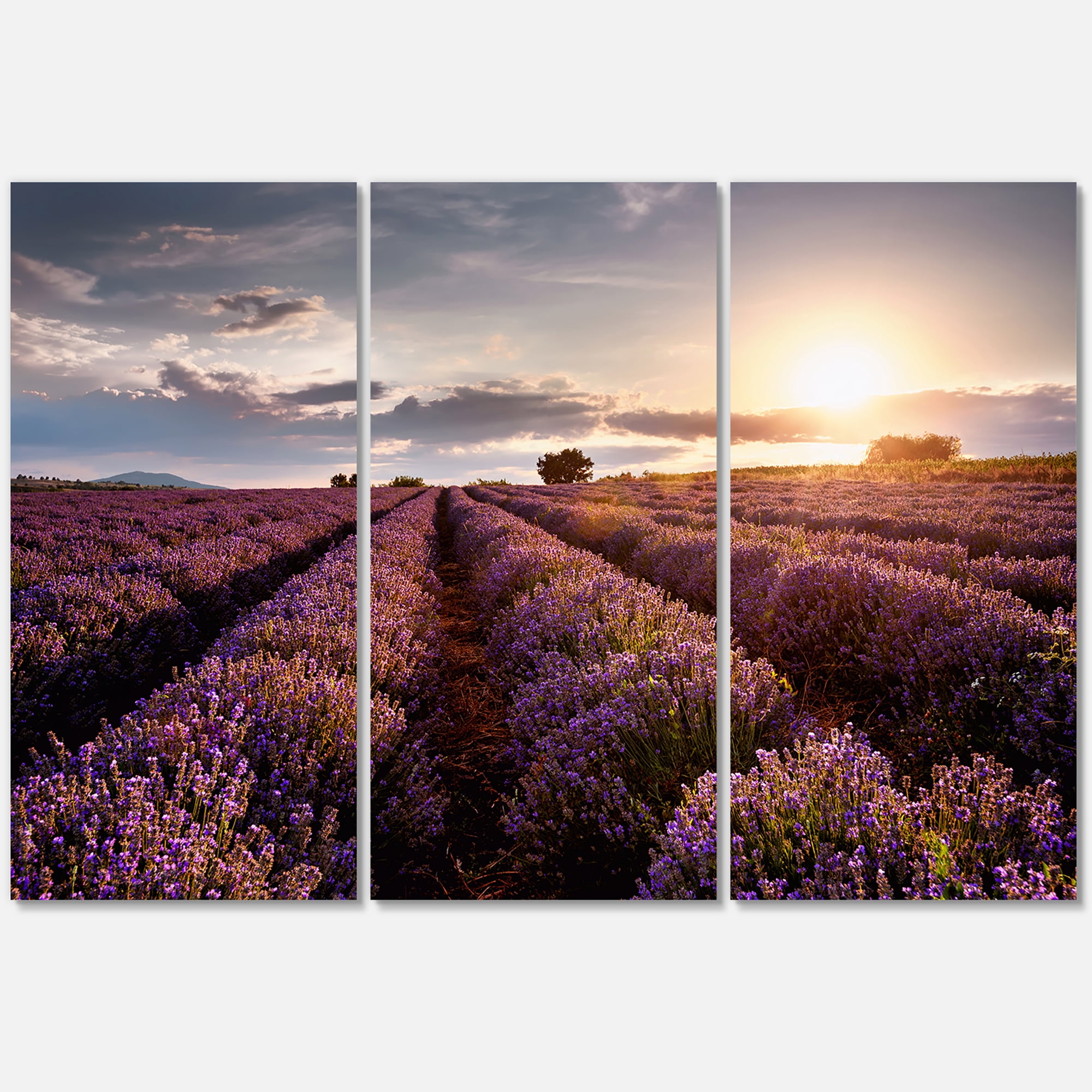 Dramatic Clouds and Sunrise Over Lavender Field V 28 in x 36 in Photography Canvas Art Print, by Designart