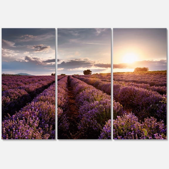 Dramatic Clouds and Sunrise Over Lavender Field V 28 in x 36 in Photography Canvas Art Print, by Designart