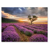 Dramatic Clouds and Sunrise Over Lavender Field VIII 12 in x 8 in Photography Canvas Art Print, by Designart