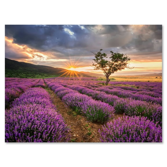 Dramatic Clouds and Sunrise Over Lavender Field VIII 8 in x 12 in Photography Canvas Art Print, by Designart